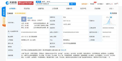 计算机软硬件开发 协同演进与未来展望