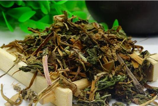 你不知道的蒲公英茶惊人功效